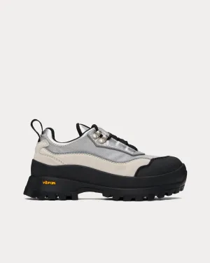 Aaron Trail Silver Low Top Sneakers