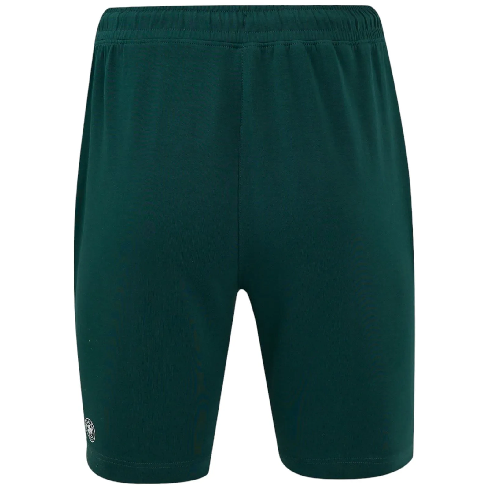 Castore FAI Ireland 2024/24 Mens Travel Shorts