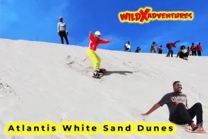 Classics Sandboarding for 1, 2, 4 or 6