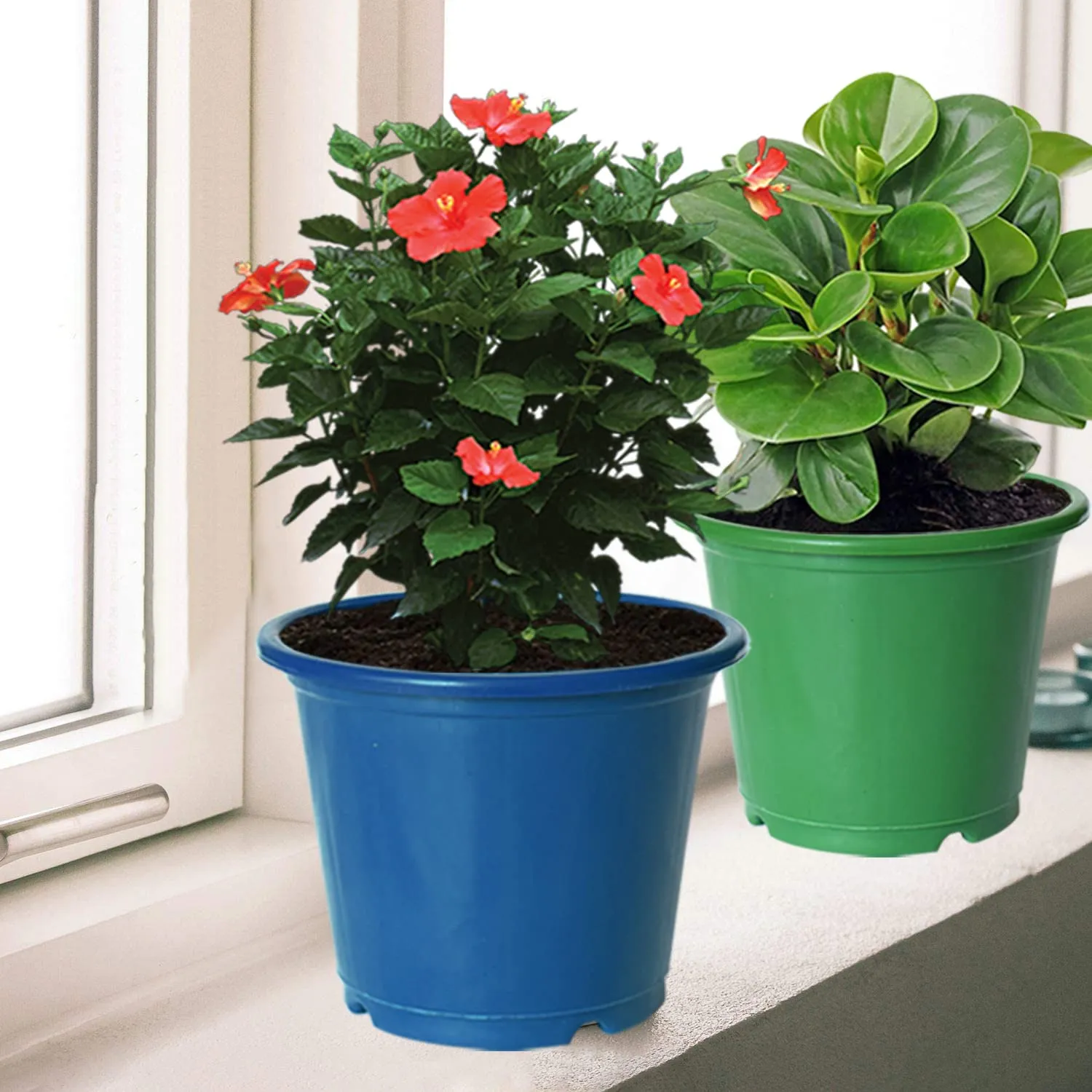 Kuber Industries Plastic Planters|Gamla|Flower Pots for Garden Nursery Home Décor,8"x6",Pack of 3 (Blue,Orange,Green)