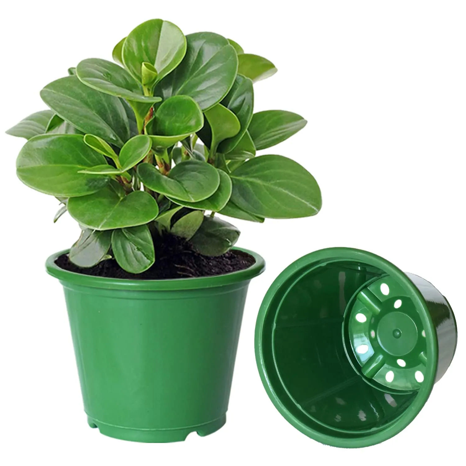 Kuber Industries Plastic Planters|Gamla|Flower Pots for Garden Nursery Home Décor,8"x6",Pack of 3 (Blue,Orange,Green)