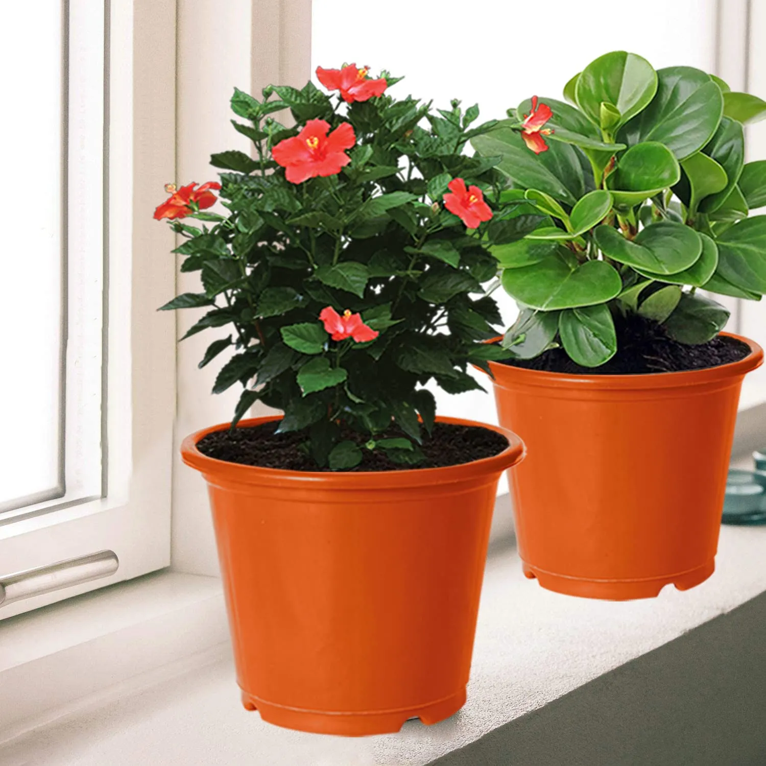 Kuber Industries Plastic Planters|Gamla|Flower Pots for Garden Nursery Home Décor,8"x6",Pack of 3 (Orange)