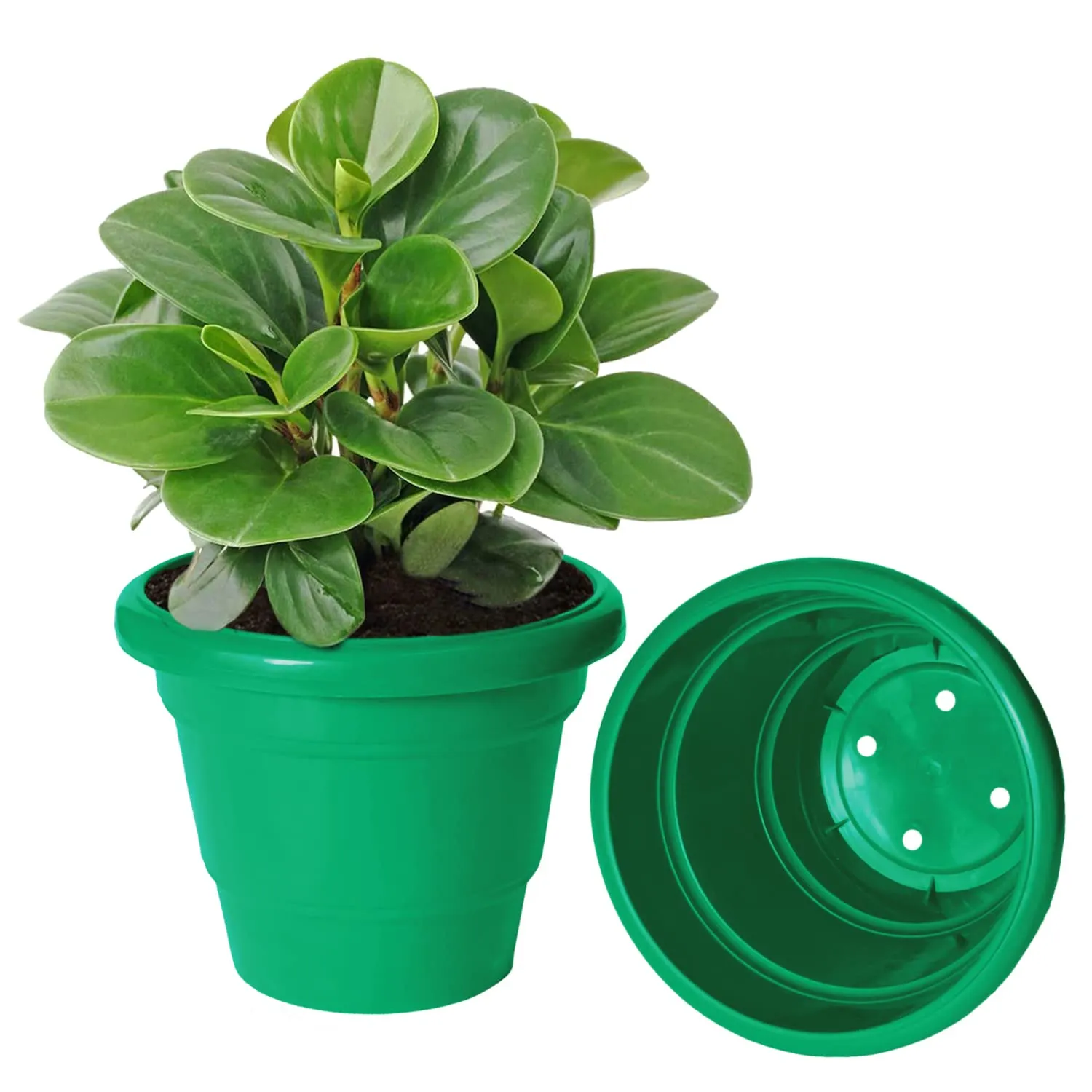 Kuber Industries Solid 2 Layered Plastic Flower Pot|Gamla for Home Decor,Nursery,Balcony,Garden,8"x 6",Pack of 4 (Green)