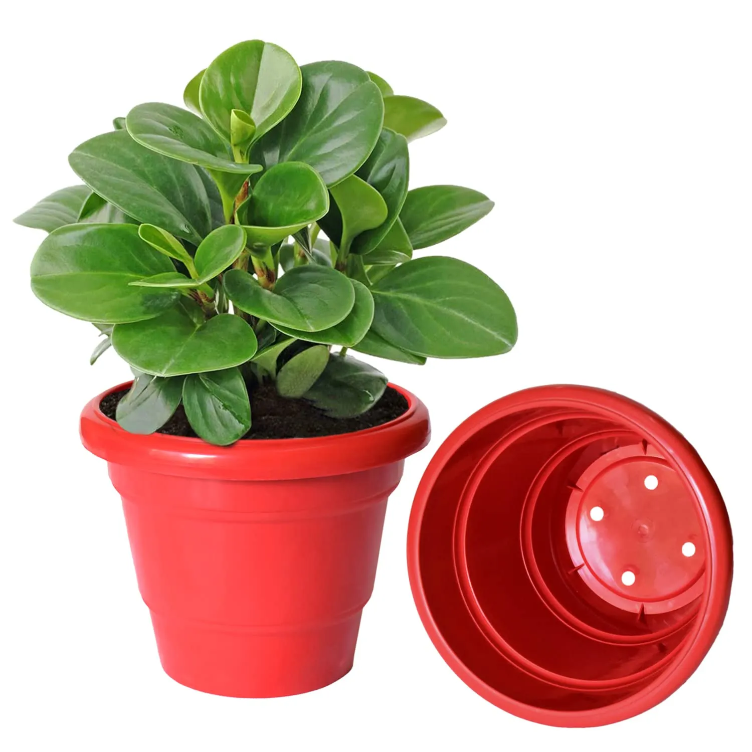 Kuber Industries Solid 2 Layered Plastic Flower Pot|Gamla for Home Decor,Nursery,Balcony,Garden,8"x 6",Pack of 5 (Red)